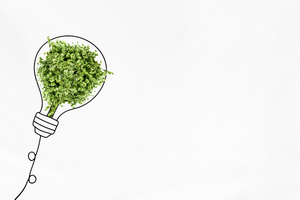 SEI Green: la scelta illuminata per un futuro sostenibile